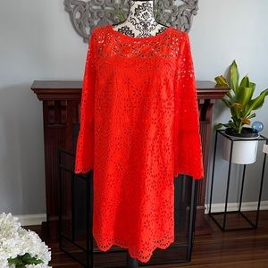 A fabulous NWT JCrew dress
